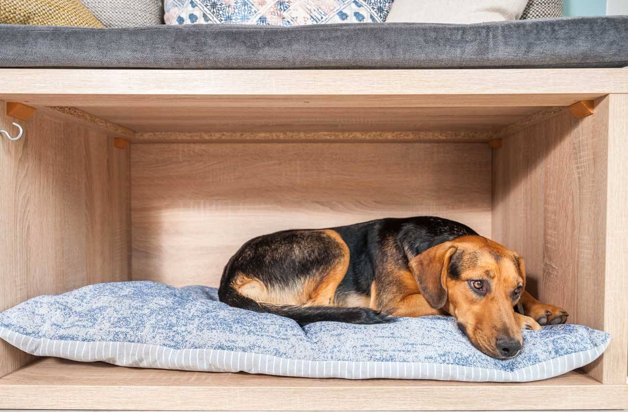 New Age Remodeling & Design